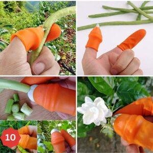 طقم اصابع تقطيع الورقيات والخضار